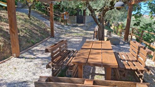 San Mauro Cilento House | Agricoltura Rascio