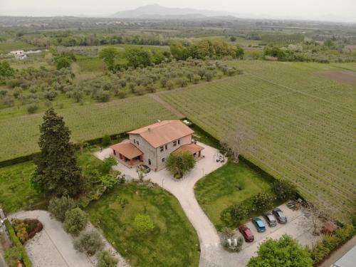 Falciano del Massico House | Discover Masseria Campierti: 9/10 Guest Rated Retreat