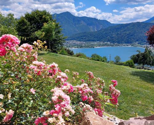 Tenna House | Discover AGRITUR SEDICI - Pet-Friendly B&B with Ocean Views