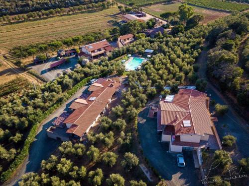 Pian di Rocca House | Relax at Agriturismo Val di Nappo with Ocean Views