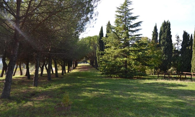 Monte Santa Maria Tiberina House | Experience Agriturismo I Muri: Oceanfront Getaway Awaits
