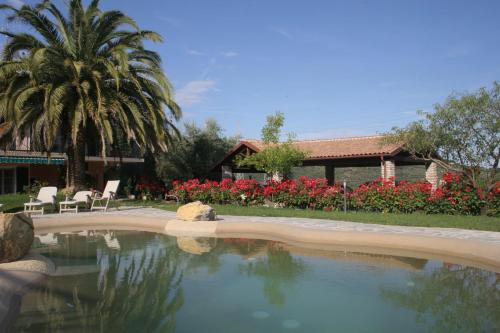 Diano Borello House | Discover Agriturismo Ada Musso: Pet-Friendly Oceanfront Retreat