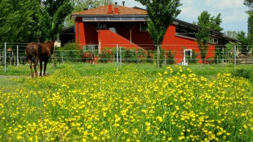 Badia Polesine House | Pet-Friendly Agriturismo Adriano Pedretti with Hot Tub
