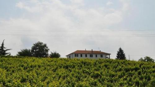 Santo Stefano Belbo House | Guest Rated 8.9: Family-Friendly Agriturismo Ai Piacentini
