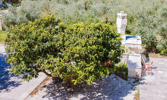 Cutrofiano Other | Eco-Friendly Agriturismo Piccapane with Family Amenities