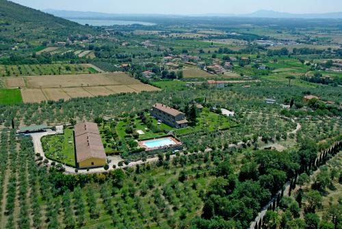 Ferretto House | Pet-Friendly Agriturismo Cortoreggio with Oceanfront Pool