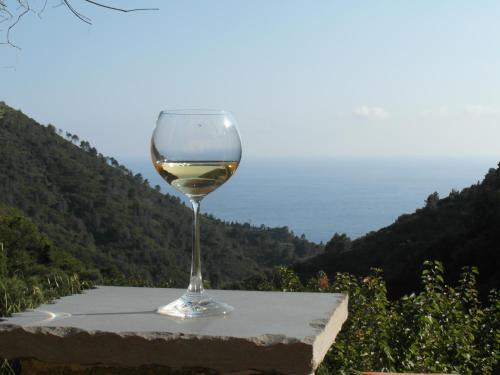 Vernazza House | Pet-Friendly Oceanfront Stay at Agriturismo Costa di Campo