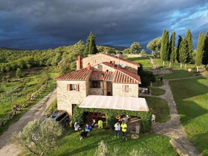 Pieve al Bagnoro House | Discover Agriturismo D'ambiano: Family-Friendly Oceanfront Retreat