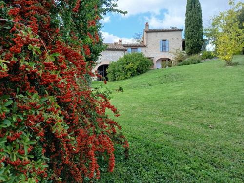 Acqualagna Apartment | Enjoy Oceanfront Comfort at Agriturismo del Frontino