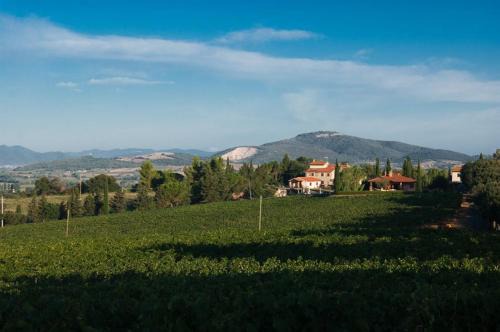 Scansano House | Beautiful Agriturismo Diaccialone with Oceanfront Views