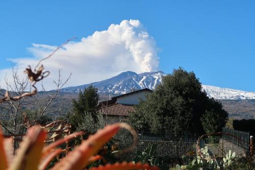 Piedimonte Etneo House | Oceanfront Retreat at Agriturismo Etna-Mare - 9.3/10 Rating