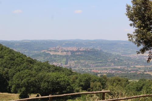 Orvieto House | Pet-Friendly Escape at Agriturismo Fattoria Poggio Boalaio