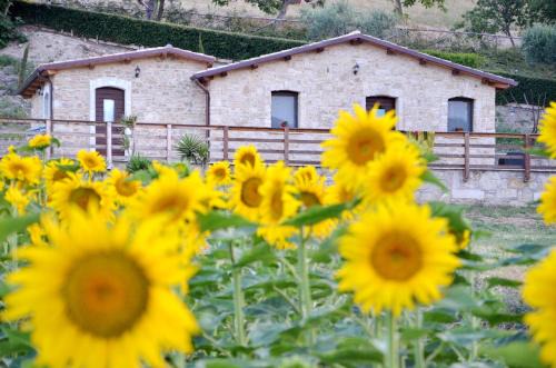 Tavenna House | Discover Agriturismo Fontefredda: Oceanfront Retreat Awaits