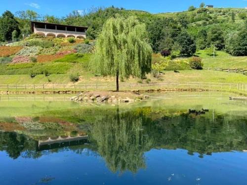 Adrara San Martino House | Discover Agriturismo Grammelot: Pet-Friendly Retreat