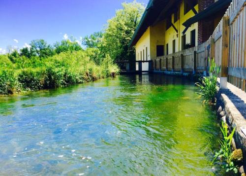 Oleggio House | Pet-Friendly Agriturismo Helianthus with Ocean View Rooms