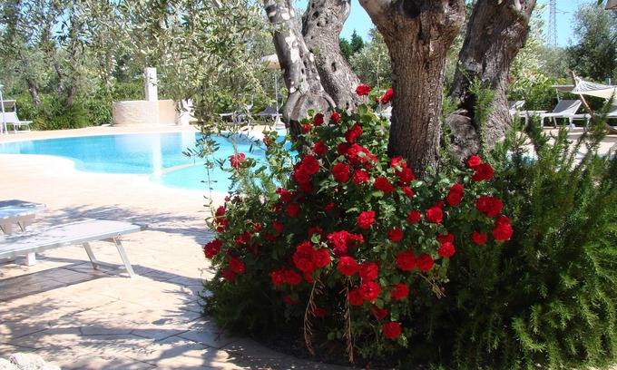 Chiesiola Other | Discover Agriturismo I Tesori Del Sud: Pool, Spa & Family Fun