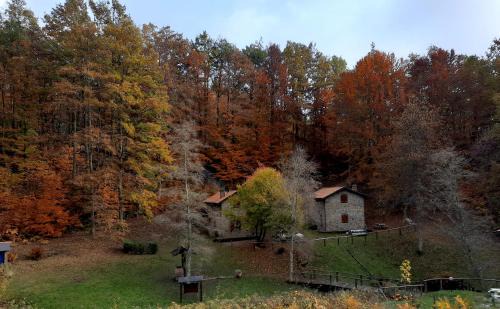 San Romano in Garfagnana Apartment | Pet-Friendly Retreat at Agriturismo il Canale: Rated 9.4