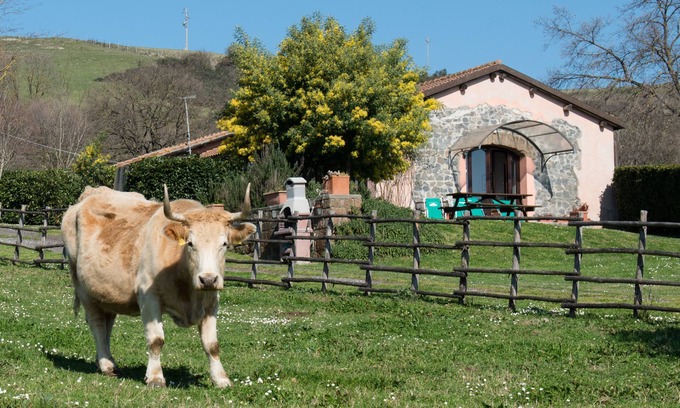 Zona LIX Polline Martignano Other | Agriturismo Il Castoro