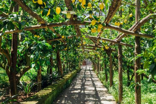 Marina di Puolo House | Discover Agriturismo Il Giardino di Vigliano - Pet Friendly Stay
