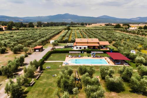 Roccastrada House | Experience Agriturismo Il Giglio di Sant' Antonio Retreat