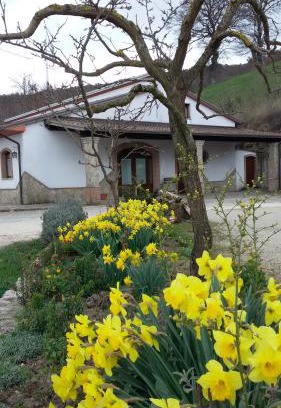 Baselice House | Top-Rated Agriturismo Il Regio Tratturo with Breakfast