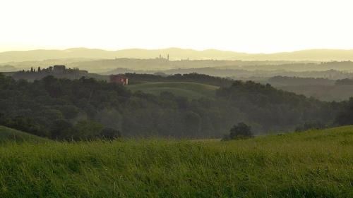 Torre A Castello Apartment | Discover Agriturismo San Fabio: Family-Friendly Retreat