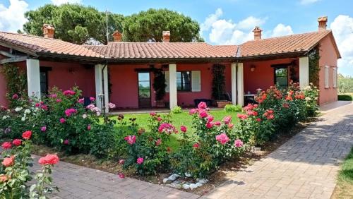 Vitellino Apartment | Discover Agriturismo Il Sogno: Guest Rated 9.8 with Ocean Views