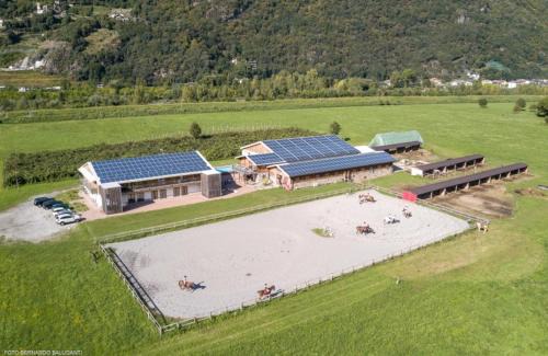 Talamona Apartment | Pet-Friendly Agriturismo L'isola del Cavallo - Rated 10/10