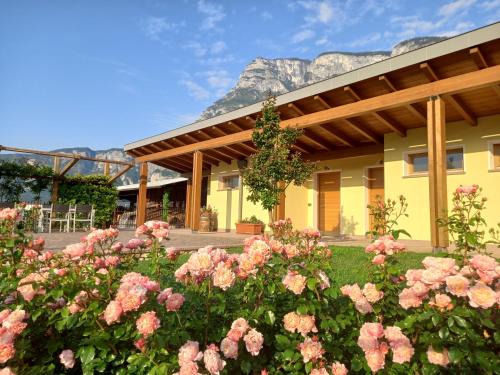 Nave San Rocco House | Explore Agriturismo L' Isola di Arturo: Pet-Friendly Oasis