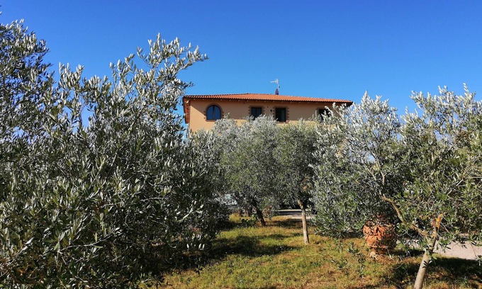 Montorsaio Other | Agriturismo La Steccaia Alta