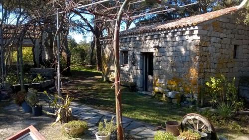 Tempio Pausania Bed & Breakfast | Pet-Friendly Agriturismo La Vigna: Perfect for Families