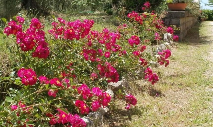 Viterbo House | Relax at Agriturismo Le Quattro Stagioni with Pool & Spa