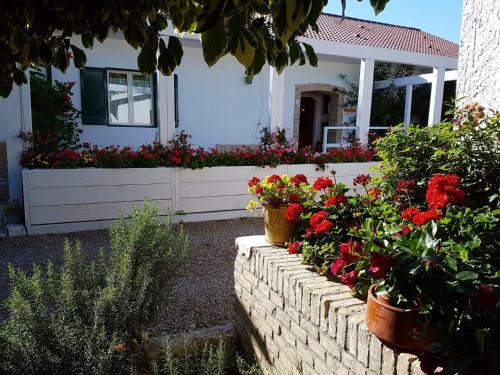 Orta Nova House | Discover Agriturismo Masseria Mascitelli: Family & Pet Friendly