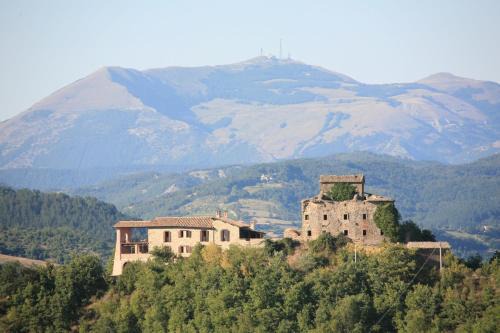 Nerbisci House | Relax at Agriturismo Monte Valentino: Pet Friendly & Pool