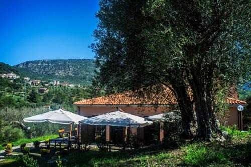 Santa Marina House | Discover Agriturismo Murikè: Family-Friendly Retreat