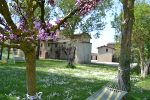 Bivio Lugnano House | Discover Agriturismo Nestore: Pet-Friendly Retreat with Pool