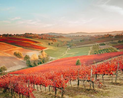 Castelvetro di Modena House | Relax at Agriturismo Opera 02 with Ocean View & Spa
