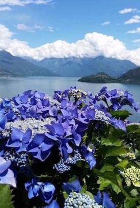 Pianello del Lario Apartment | Pet-Friendly Agriturismo Piccolo Paradiso with Ocean Views