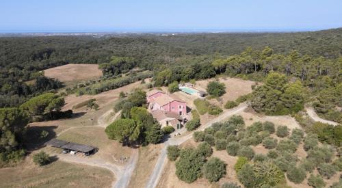 Riparbella Apartment | Discover Agriturismo Piccolo Paradiso: Pet-Friendly Retreat