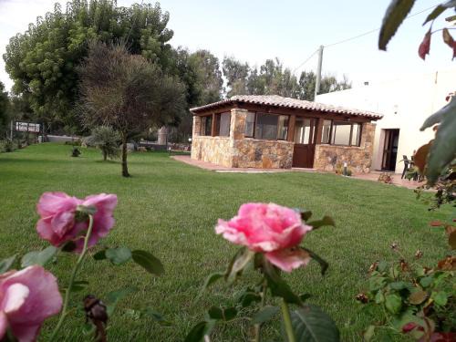 Porto Torres House | Family-Friendly Agriturismo Quattro Mori with Top Reviews