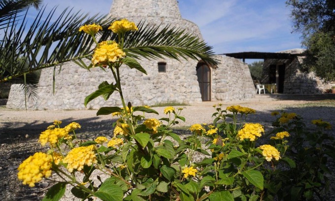 Torre Vado House | Pet-Friendly Oceanfront Retreat at Agriturismo Specchiarussa