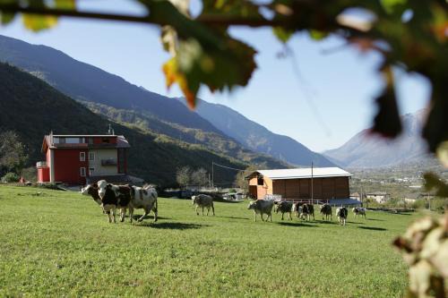 Albosaggia House | Guest Rated Agriturismo Stella Orobica with Unique Amenities