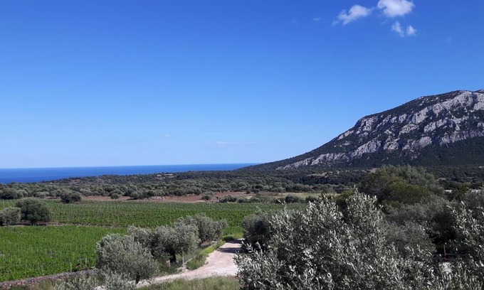 Dorgali House | Discover Agriturismo Su Barcu: Oceanfront Getaway Awaits