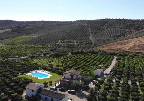 San Demetrio Corone House | Pet-Friendly Retreat at Agriturismo Trappeto Vecchio