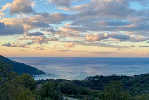 Torraca Apartment | Agros: Guest Rated 10/10 with Pet-Friendly Comforts