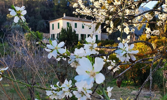 Bunyola House | Relax at Agroturisme Finca Sa Maniga with Oceanfront Views