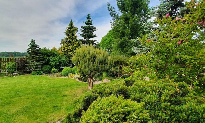 Miszewko Apartment | Guest Rated 10/10: Agroturystka przy lesie Retreat
