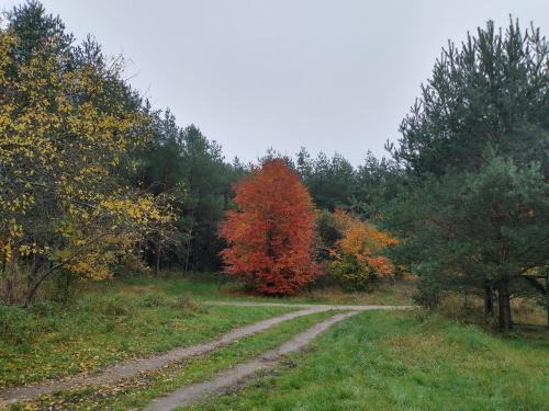 Jastrowie House | Discover Agroturystyka Leśna Babka: Family-Friendly Retreat
