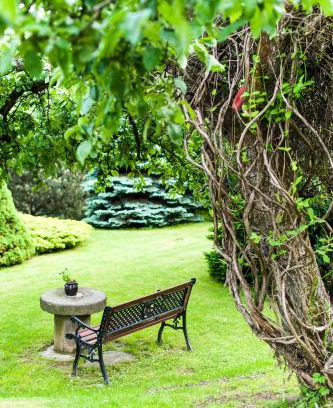 Dlugopole-Zdroj House | Pet-Friendly Retreat at Agroturystyka Wzgórze Magnolii