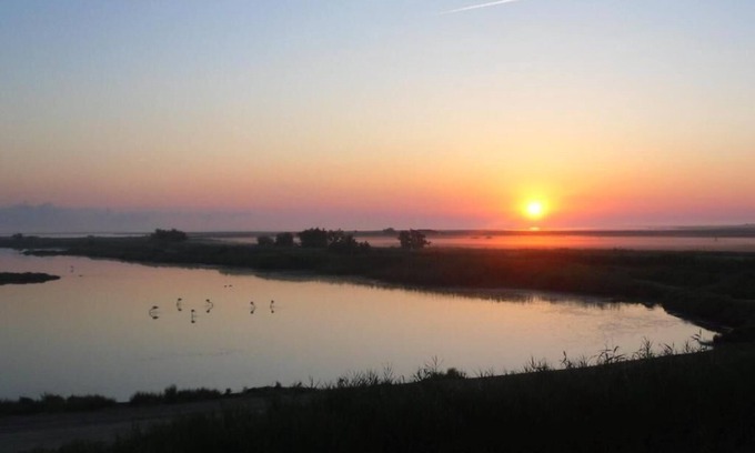 Saintes-Maries-de-la-Mer House | Relaxing Rooms with Scenic Pond Views & Pool Access